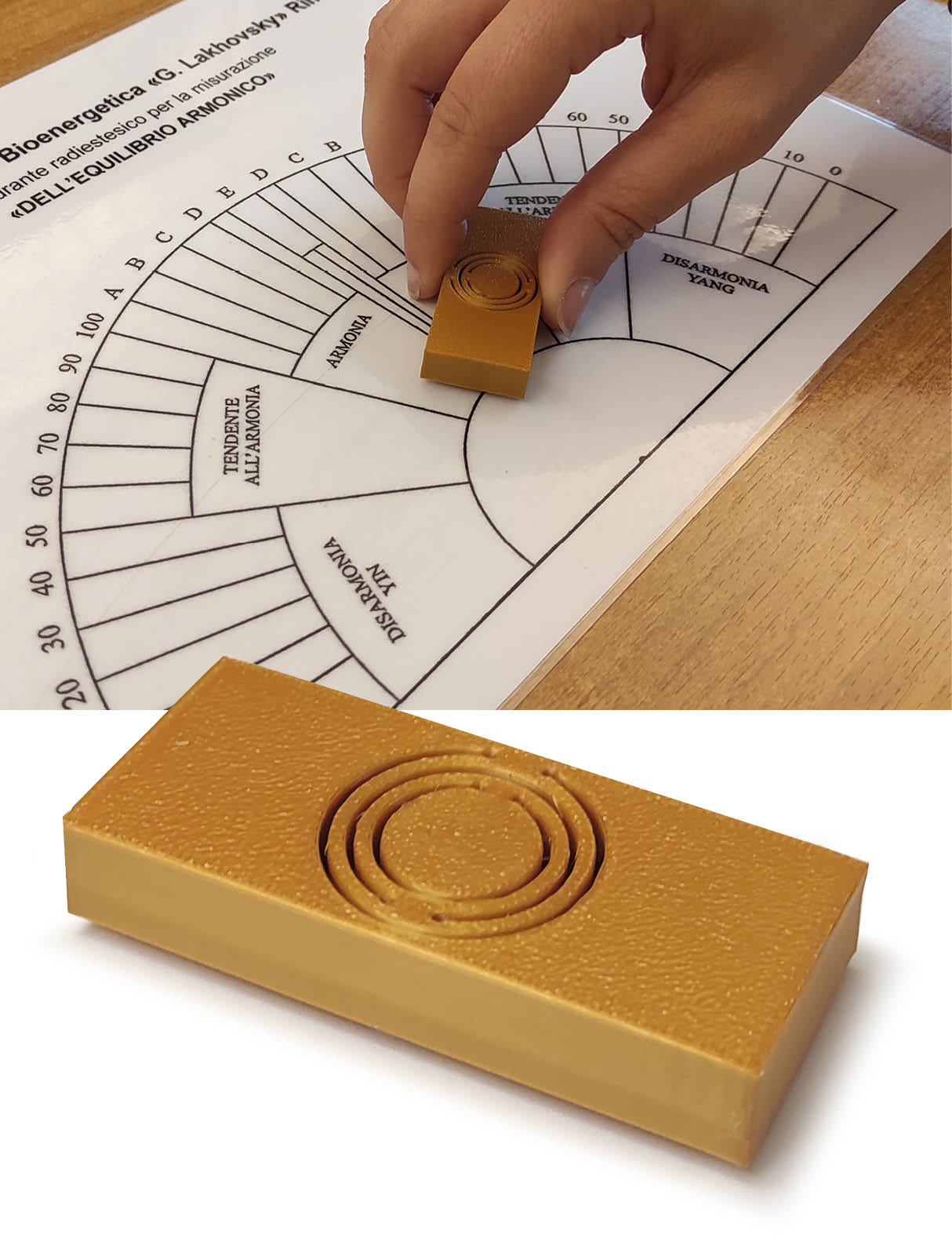 NOVITA'  <br> EQUI-POLO